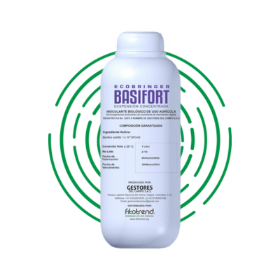 2 Basifort