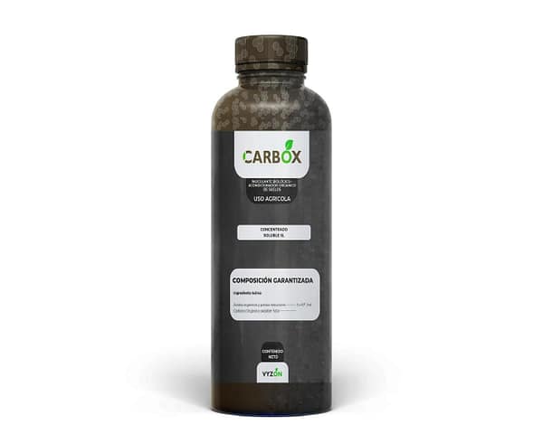 WhatsApp Image 2026-01-16 at 5.25.41 PM Carbox